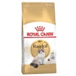 Суха храна за котки от породата Регдол Royal Canin Ragdoll Adult, 10кг