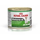 Royal Canin MINI Mature +8 – консерва за кучета от дребни породи(1-10кг) от 8 до 12 год.