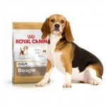"Royal Canin Beagle Adult" - Суха храна за кучета от порода Бигъл над 12-месечна възраст