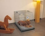 Метални сгъваеми клетки Dog Residence Mobile от Savic Белгия - два размера