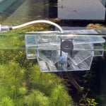 JBL BabyHome Oxygen - ваничка за живораждащи риби с аерация