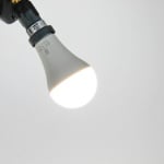 JBL Reptil LED Daylight 12W - LED флуоресцентна лампа за терариуми Енергийно ефективна