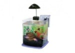 Нано аквариум Delux Paradise с прозрачна основа - 6,4л. - с различни цветове на основата