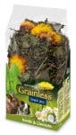 Grainless - Беззърнена храна за гризачи