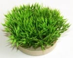 "Green Moss" - Изкуствено растение за аквариум