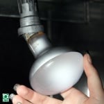 JBL ReptilSpot HaloDym + лампа за терариум(светлина и топлина UV-А)