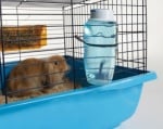 Луксозна бутилка за вода за малки животни от Savic, Белгия