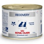 Royal Canin  Recovery - възстановяване при кучета и котки, хранене със сонда 0,195 кг