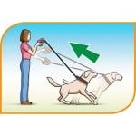 Автоматичен повод за кучета FLIPPY CONTROLLER - 5м/ЛЕНТА/ до 50кг - различни цветове