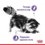 Храна за котки в зряла възраст за контролиране поведението на просене на храна Royal Canin Appetite Control , различни разфасовки