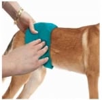 Simple Solution, многократни памперси за мъжки кучета, 1 брой
