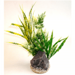 Растение Aquaplant Rock XL 32см от Sydeco, Франция