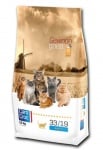 "CAROCROC CAT KITTEN" - Храна за малки котенца от 4 до 12 седмици - 7.00 кг.
