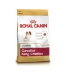 Royal Canin Cavalier King Sharles Junior  1.500кг