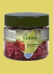 "JR Terra" – Замразени и сушени ягоди за влечуги и земноводни