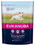 EUK DOG PUPPY SMALL 01