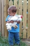 Дете прегръща бяла кокошка