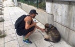 Азис сърдечно призова всички хора да дават вода на бездомните животни по улиците