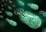 Учените разкриха, че бактериите имат колективна памет