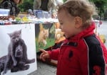Заповядайте на благотворителния базар за бездомни животни в Стара Загора