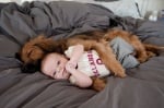 Бебе с куче