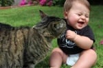 Бебе с шарена котка