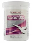 "BOOST X5" - За максимална подкрепа на мускулите на гълъбите