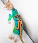 Боядисана котка