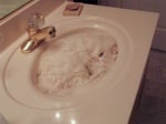 Бяла котка в бяла мивка