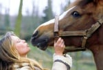 Бриджит Бардо със спасената от кланица кобила Дюшес