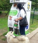 Бургас, машина за хранене на бездомни животни