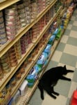 Черна котка в магазин
