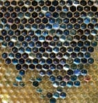 Странен син мед се появи във Франция