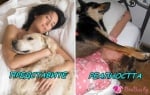 Да спиш с кучето си