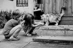 Деца се радват на котка