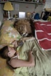 Дете и лъв спят заедно