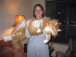 Домашните котки с най - внушителни размери