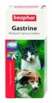 "Gastrine" - Таблетки за успокояване на стомаха