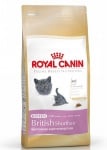 "Kitten British Shorthair" -  Храна за Британски късокосмести котенца до 1 година 0.400кг