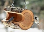 Хранилка за птици от дънер