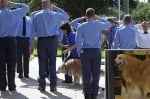 Изпратиха с военен салют последното оцеляло куче спасител от 11 септември