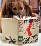 Кафяво куче чете книга