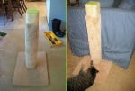 Как да направим удобно драскало за котката си само от подръчни средства?