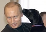 Кони - подарено кученце на Путин