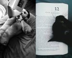Коте чете книга