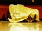 Коте в жълта торба