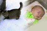 Котка спасява живота на изхвърлено бебе, като го топли с тялото си