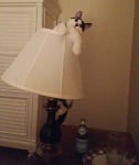 Котка в нощна лампа