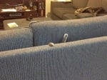 Котка, заклещена на дивана