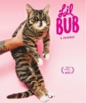 Котето "Lil Bub" ще участва на филмовия фестивал "Tribeca" в Ню Йорк